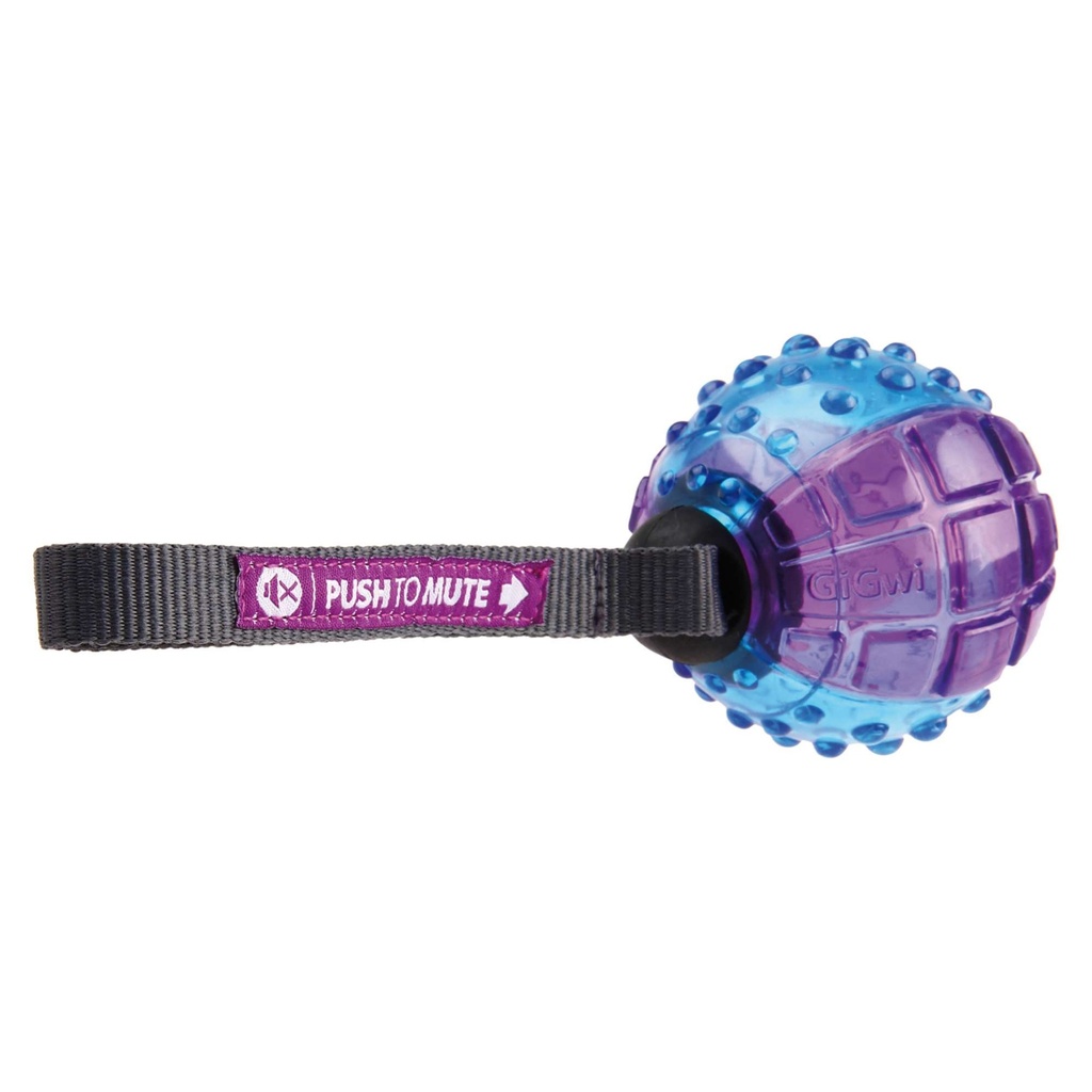 [6180] GigWi Pelota Push 23 cm. 