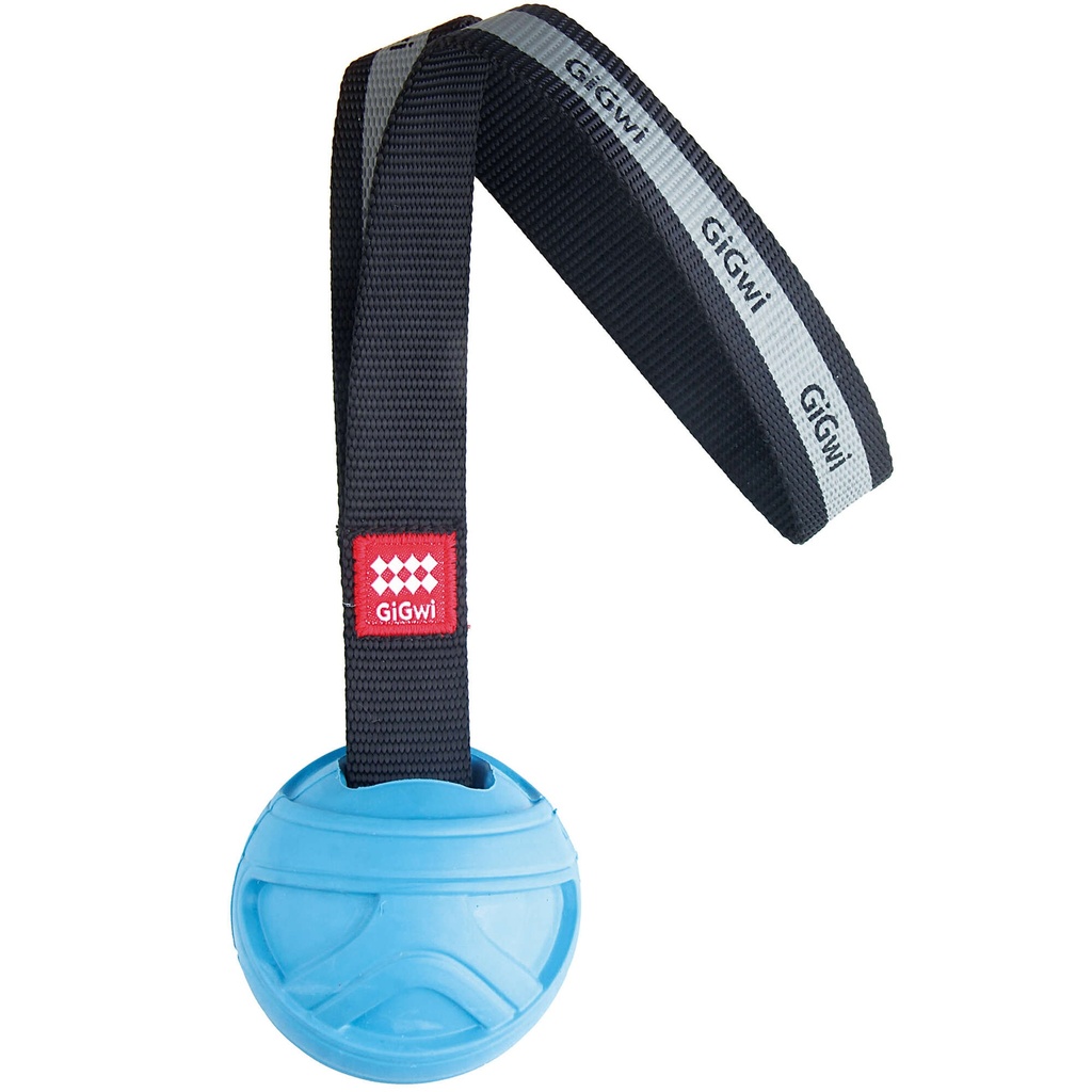 [8498] Gigwi pel.azul c/lanz. GoFetch 7x7x35 cm.     .