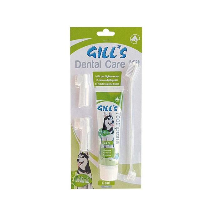 [CR/3052374] Gill's Kit Dental Care