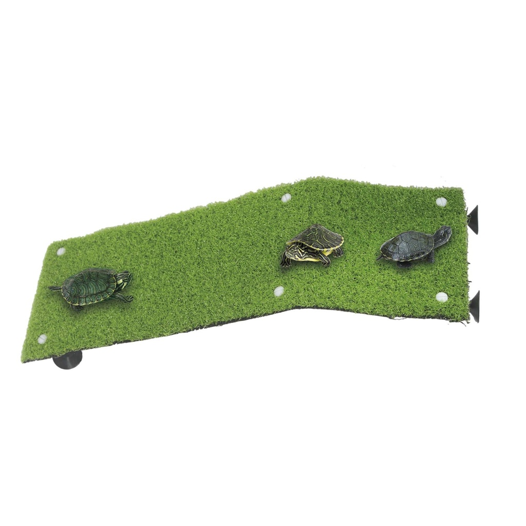 [RT50] Gran Rampa Con Cesped Tortugueras