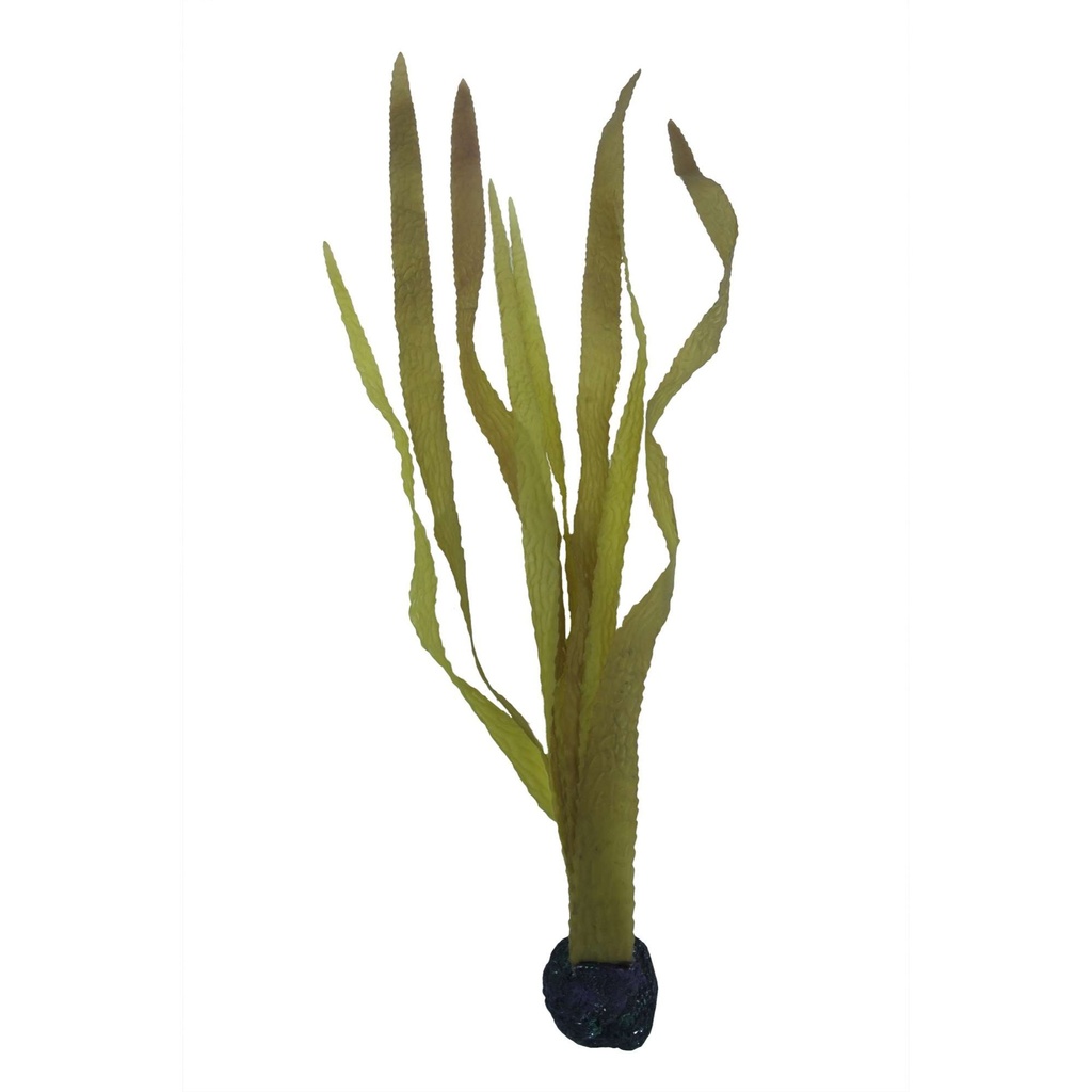 [KF410] Kelp alga Marina 60 cm.