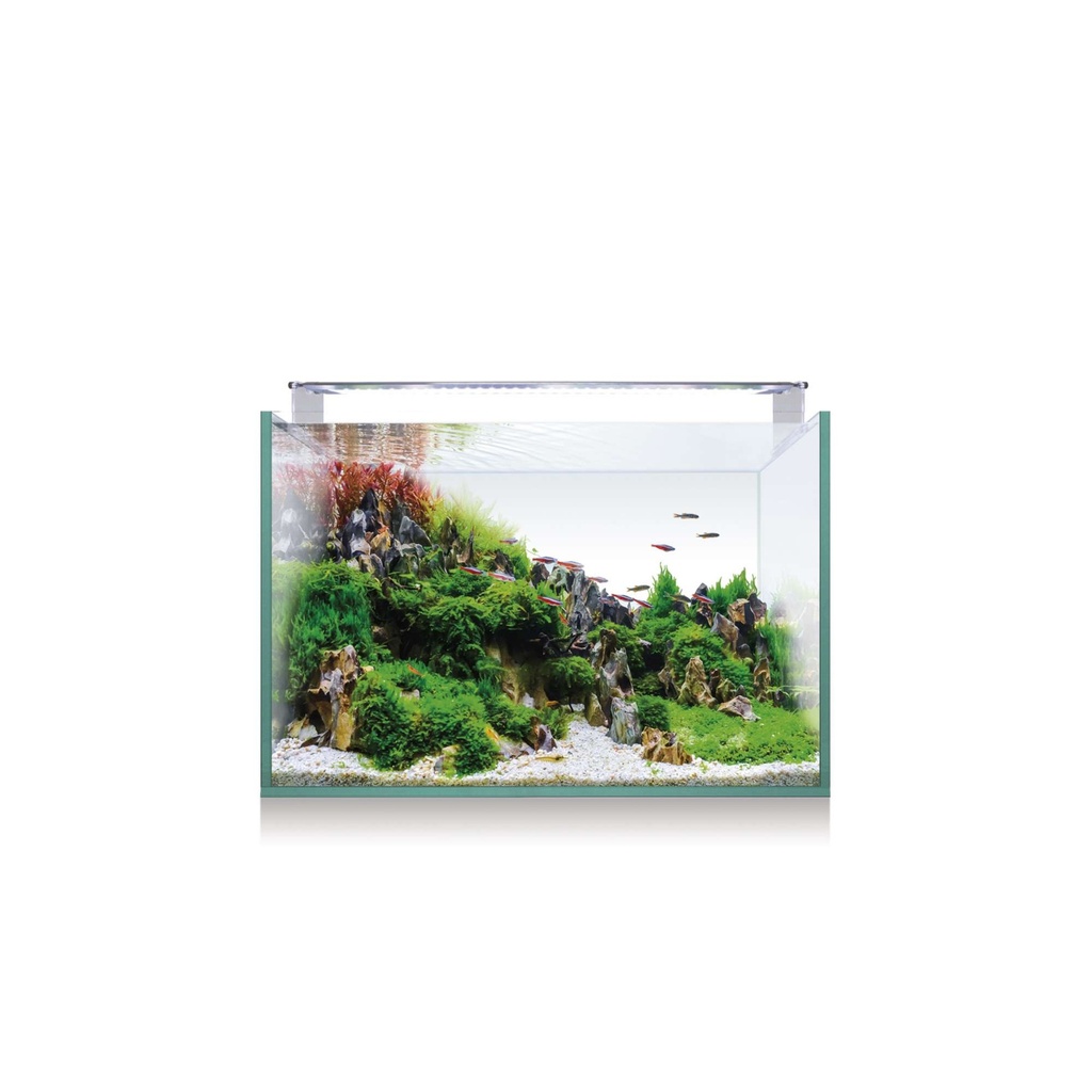 [KAQ45] Kit Aquascape RGB 50cm
