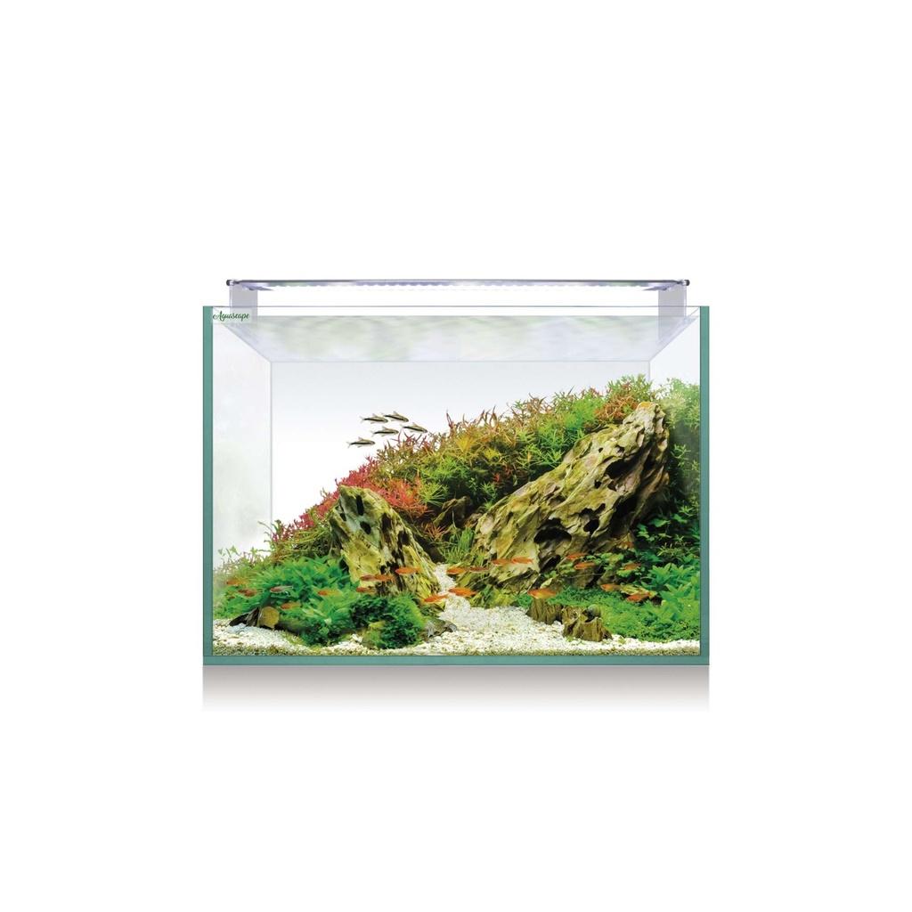 [KAQ68] Kit Aquascape RGB 60cm 