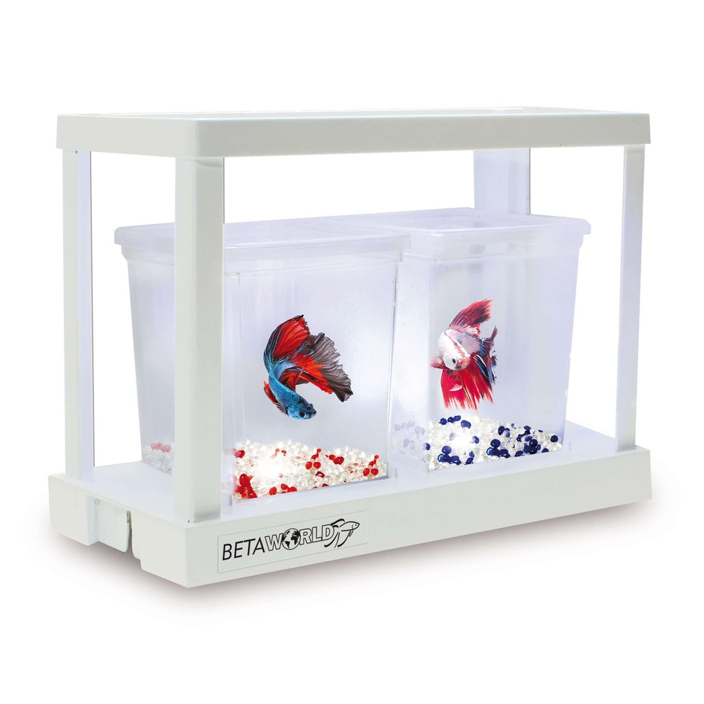 [BT21] Kit Betaworld iniciacion