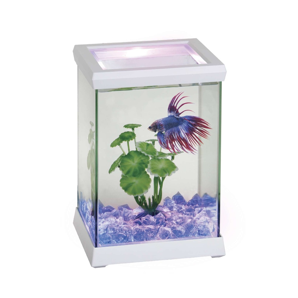[AT619B] Kit Betta Space Led 4.95L Blanco
