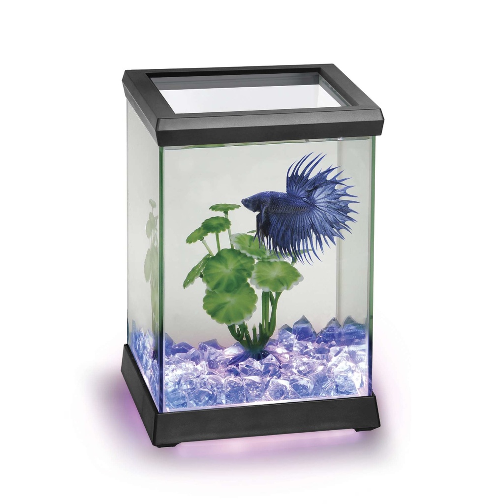 [AT619A] Kit Betta Space Led 4.95L Negro