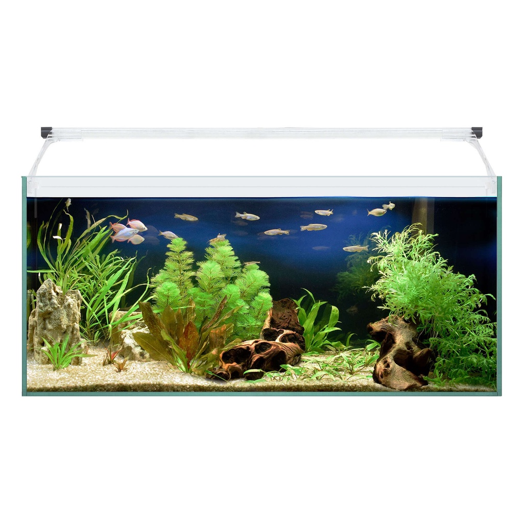 [KALI70] Kit Interior Aqua-Ligth Glass 70 cm.