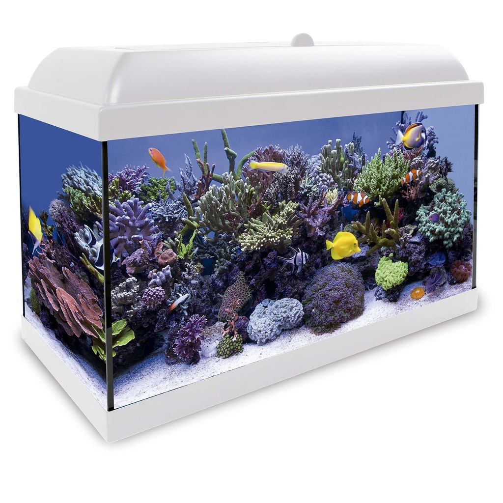 [KHS80B] Kit Marino Hydra 80L Blanco