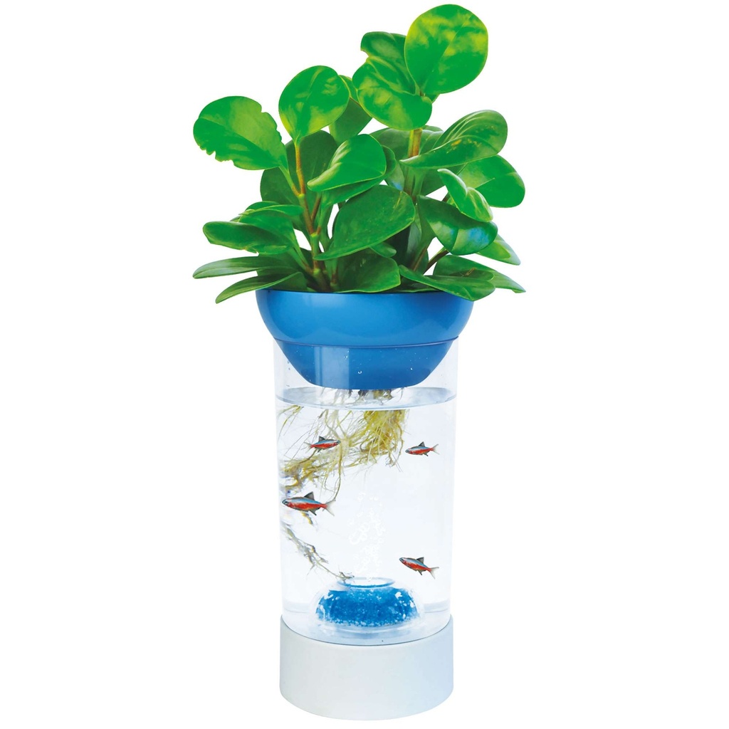 [BT40] Kit Pecera-Betera Nature Azul 1,2 L.