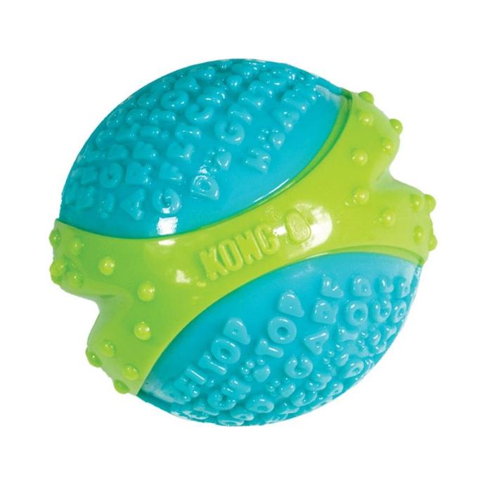 [POC-0021] Kong Corestrength Ball L