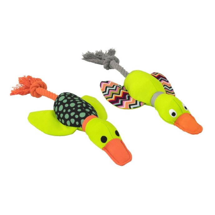 [PE80572] Pato Harry con Cuerda Dental 33 cm.