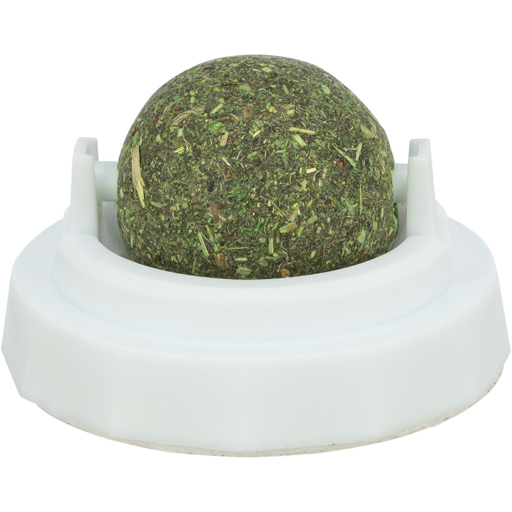 [42242] Pelota Catnip con soporte, ø 5 cm