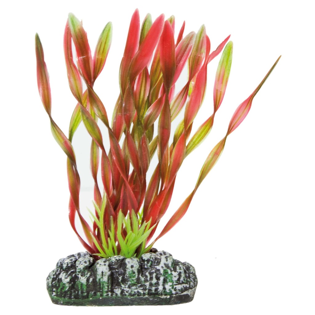 [AP1032] Pl. Plást. Vallisneria Roja 28 cm.