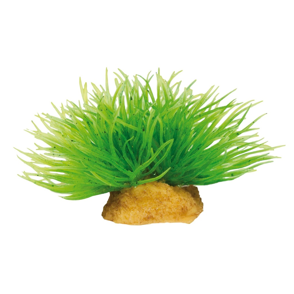 [MAGIC1] Planta MAGIC Mod. 1x3 unds.