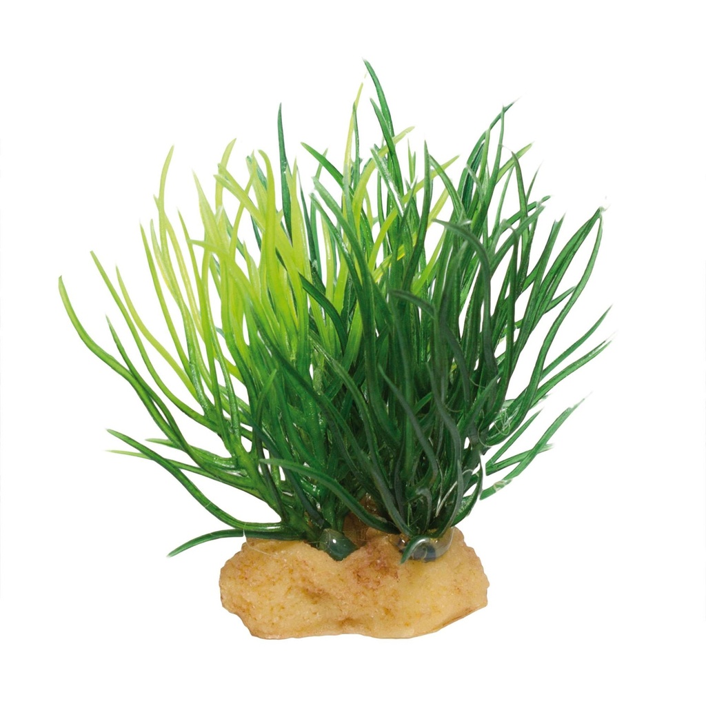 [MAGIC2] Planta MAGIC Mod. 2x3 unds.