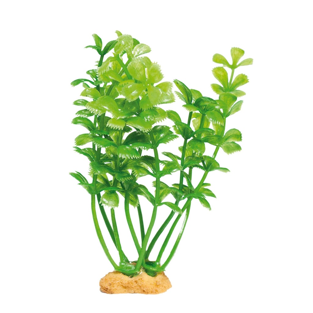 [MAGIC4] Planta MAGIC Mod. 4