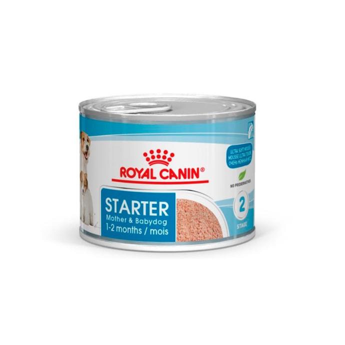 [RC357009] RC Chn Starter Mousse Lata 195Gr 