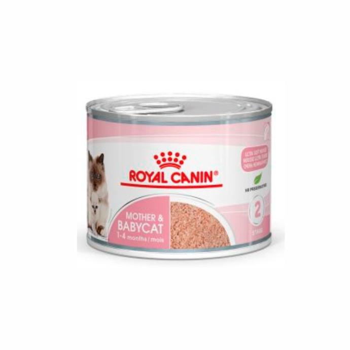 [RC377808] RC Fhn Babycat Instinctive Lata 195Gr