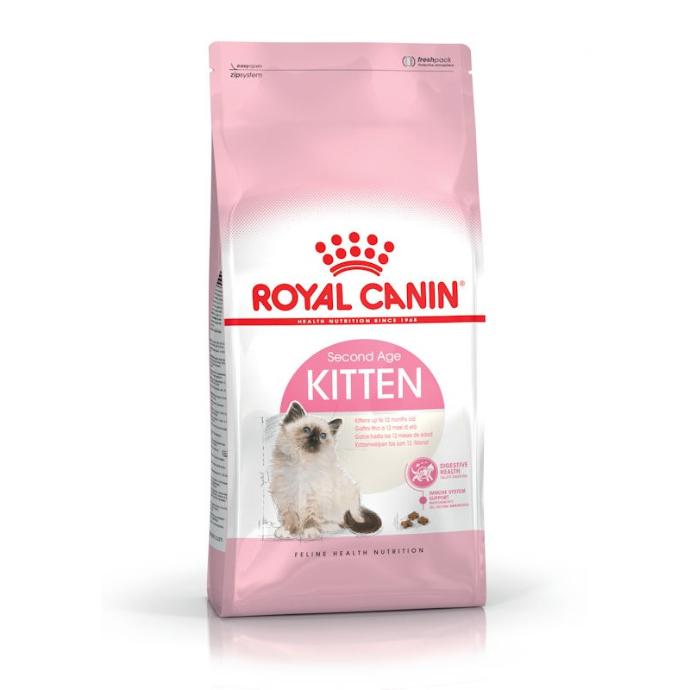 [RC310814] RC Fhn Kitten 36 400G