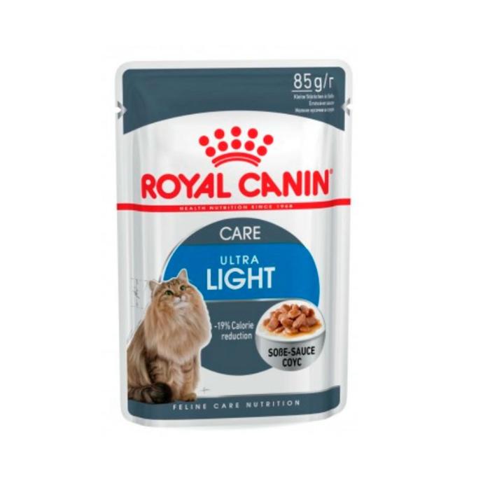 [RC380024] RC Fhn Ultralight Gravy