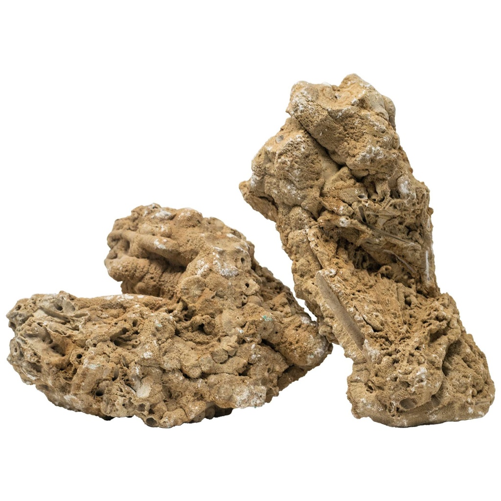 [BS3007] ROCAS HONEYCOMB MIX