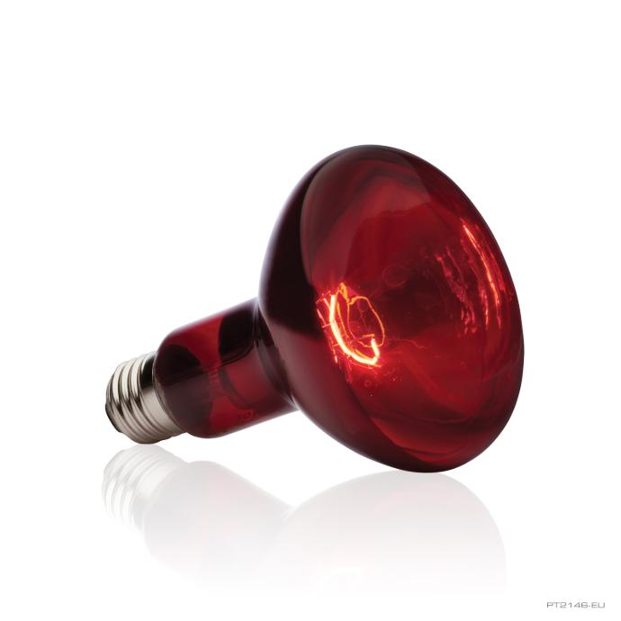 [RE30044] Red Infrared Luz Calor Infrarojo 75wt.