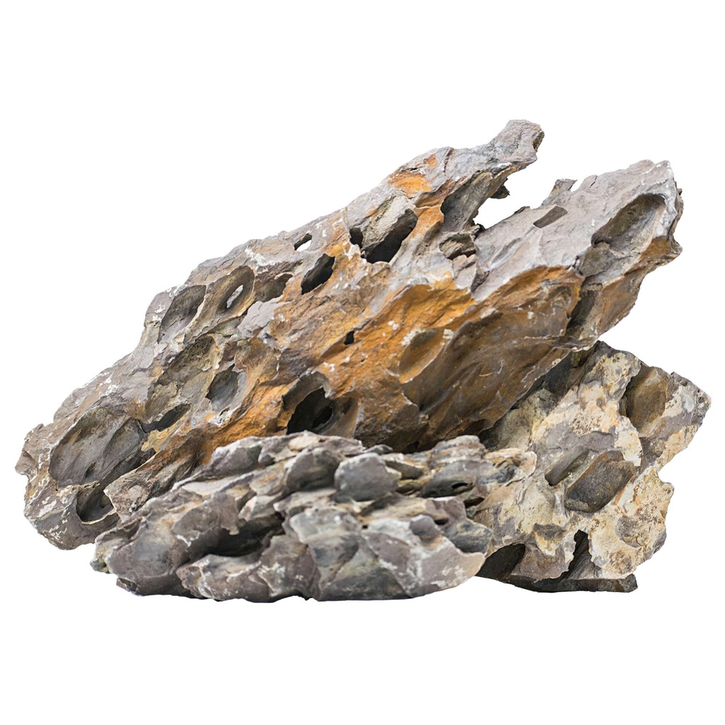 [EQ010] Roca Dragon