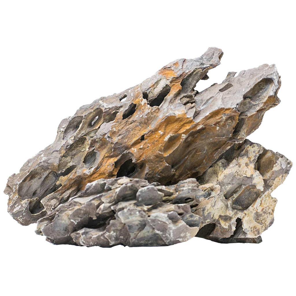 [BS3001] Rocas Dragon Song PI MIX