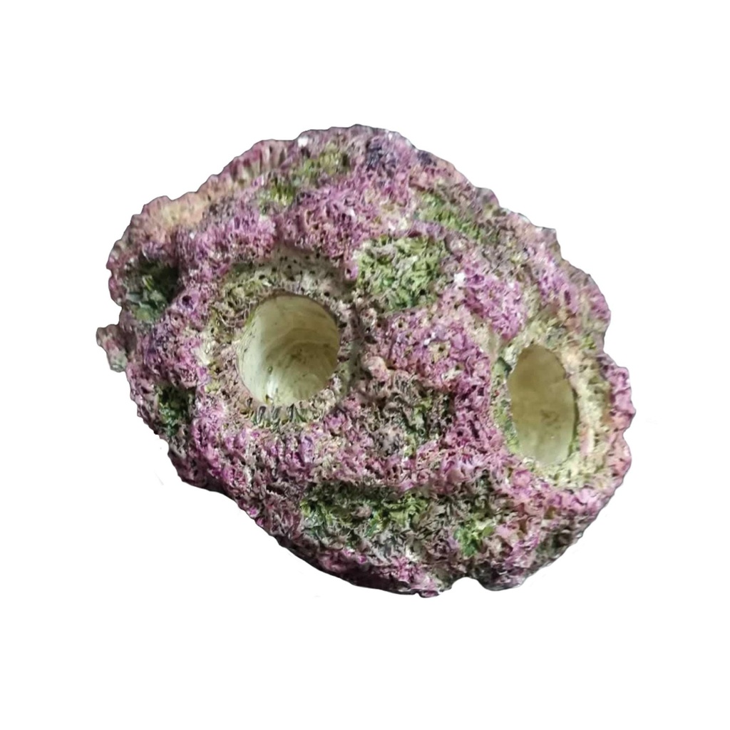 [CRP1004] RocayCoral Plugs (para 4 esquejes)