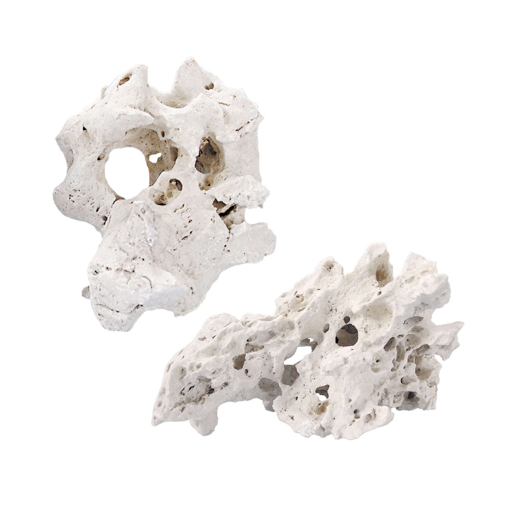 [OR3090] Sansibar rocas Medianas 