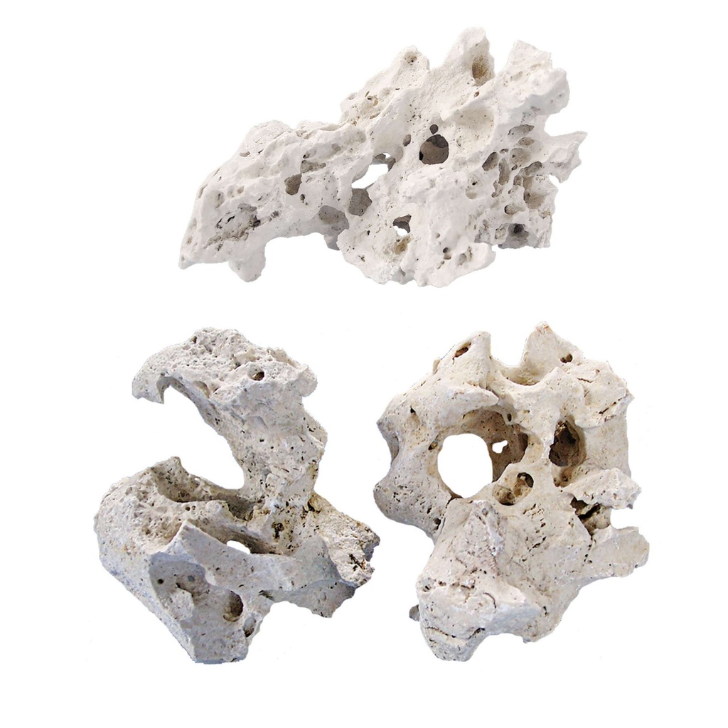 [OR3087] Sansibar-rocas Pequeñas