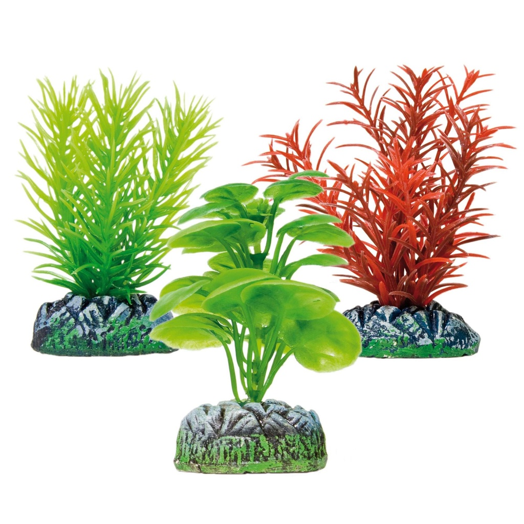 [AP1223] Set 3 Plantas Limnófila Lobelia