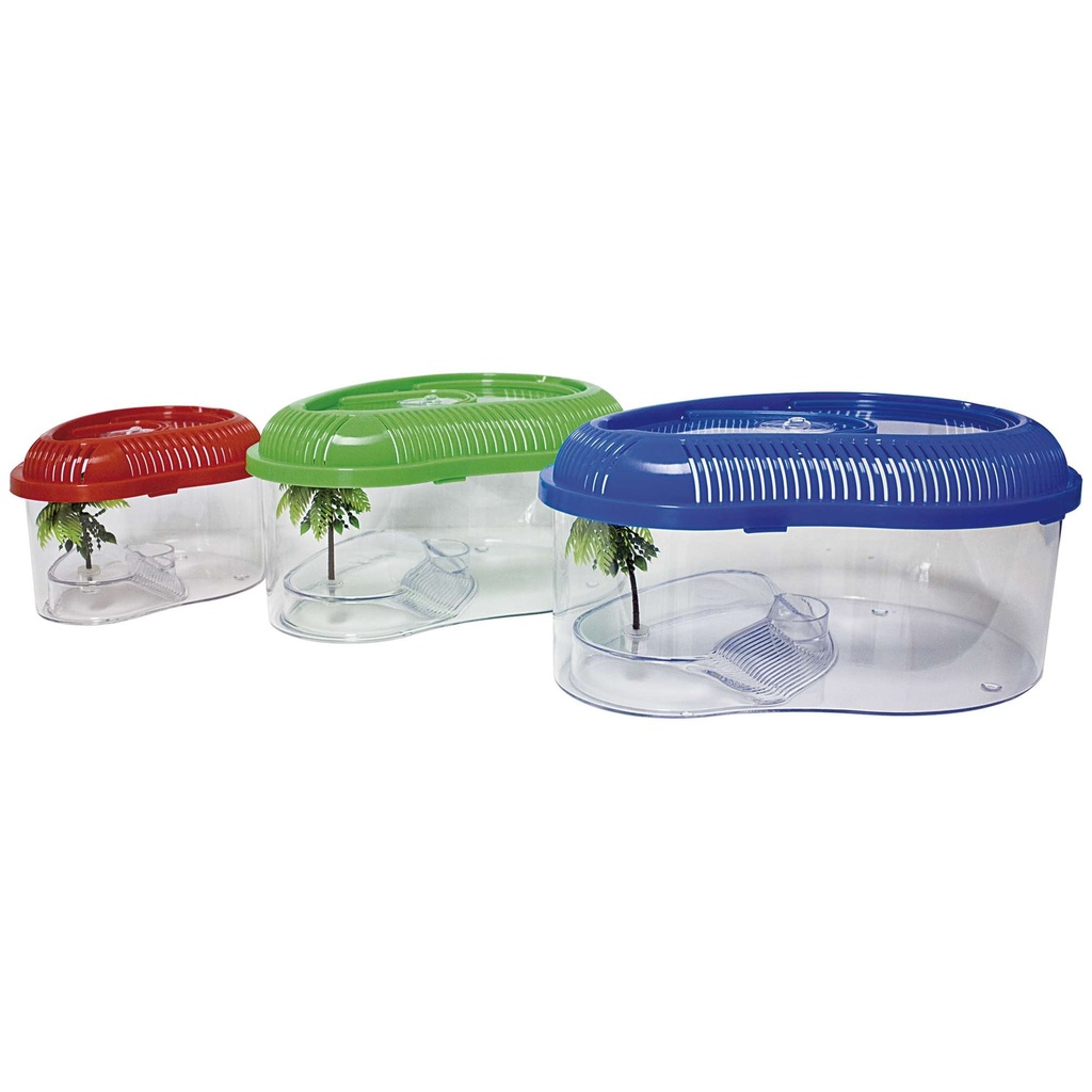 [TT351] Tortuguera Dophin 35cm con Tapa