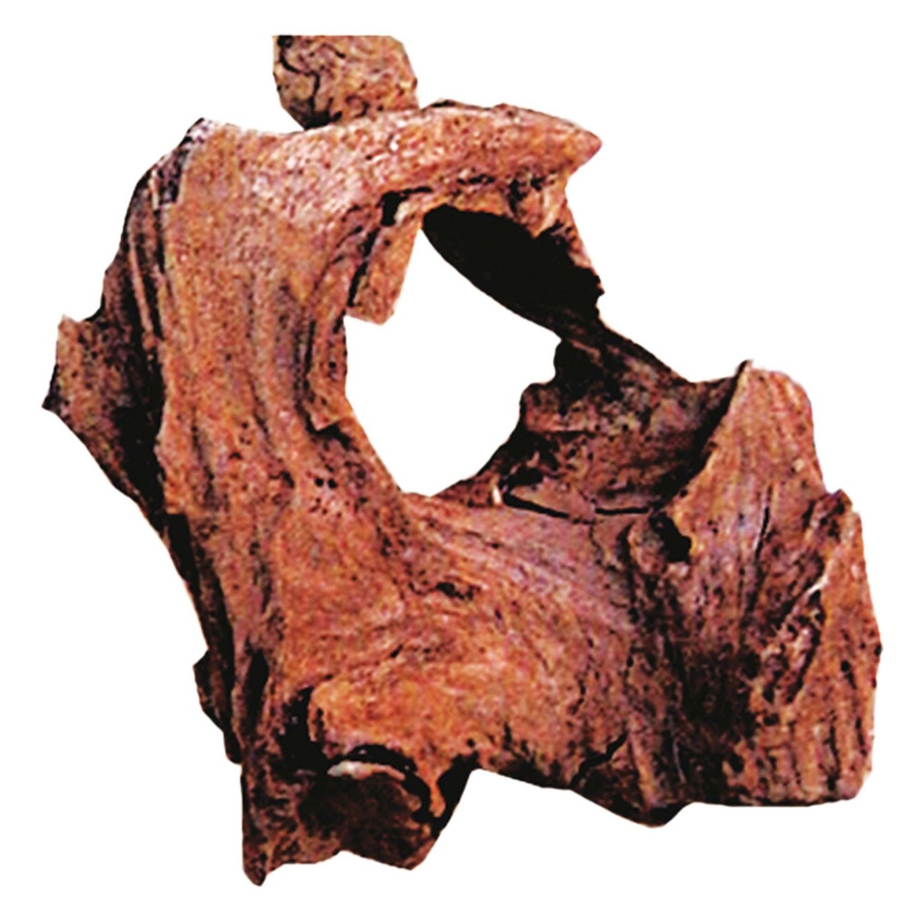 [ORT10] Tronco Driftwood  mini
