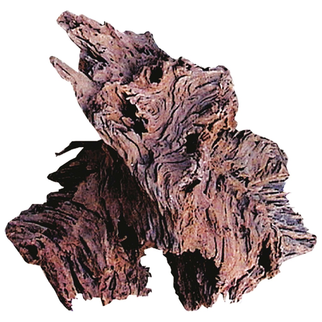 [ORT12] Tronco Driftwood med.
