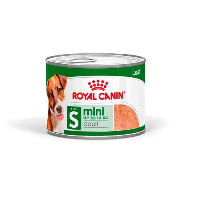 [RC356200] Shn Mini Adult Lata 195 grs.