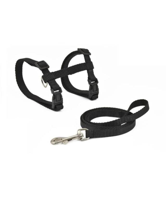 [GA80118] Arnes y Correa Gato Basic Negro 27-45 cm.-10x120 cm.