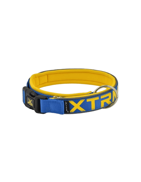 [PE69674] Collar X-TRM Neon Flash Cobalto 20 m/m. 35-45 cm.